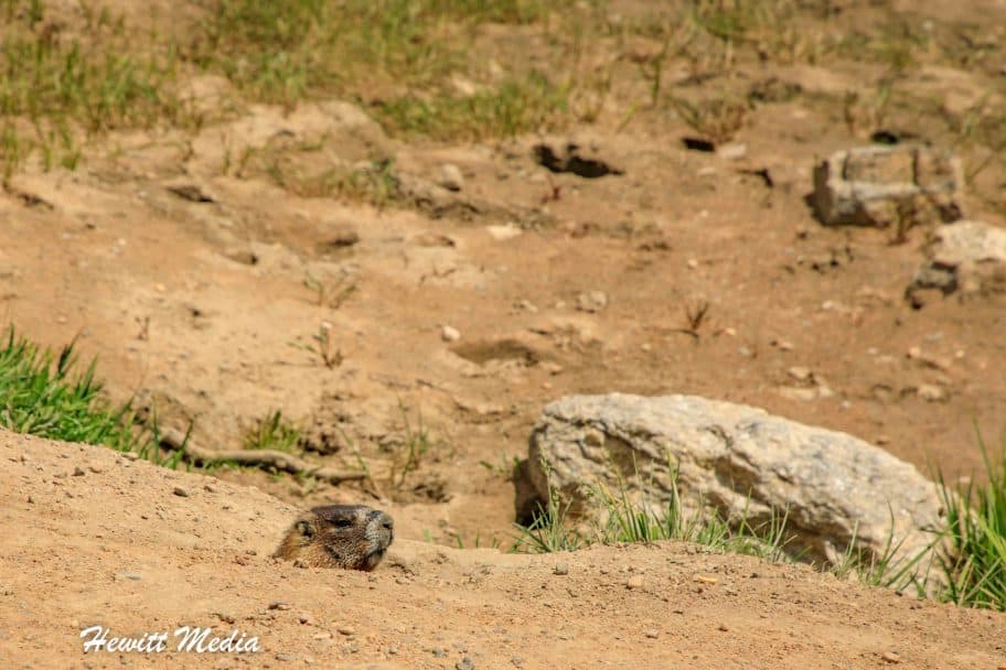 Rocky Mountain National Park Guide