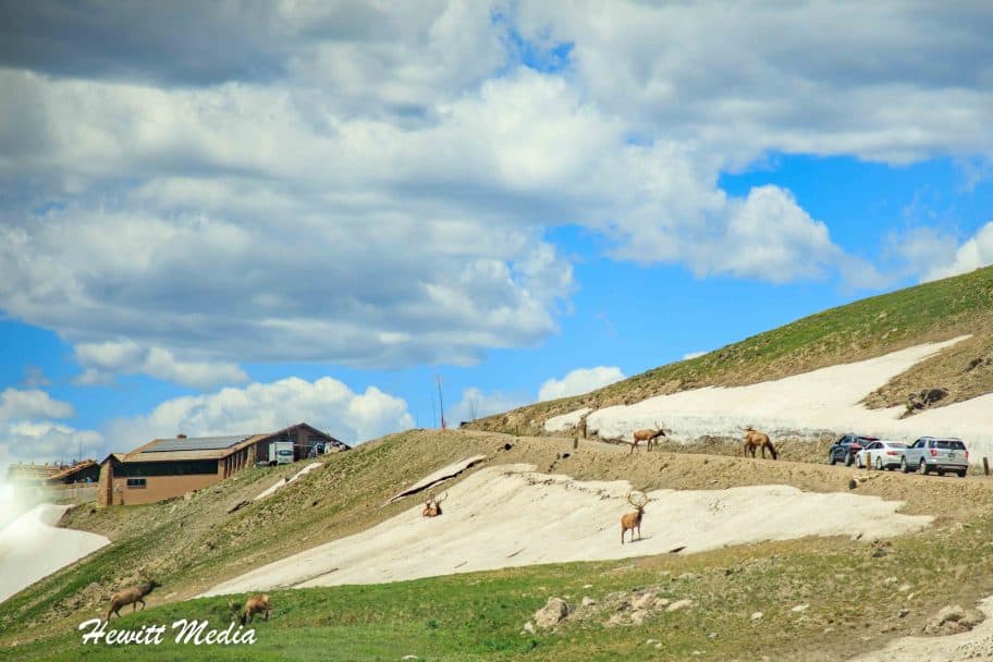 Rocky Mountain National Park Guide