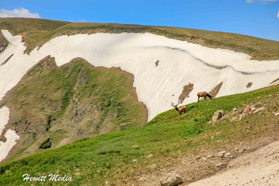 Rocky Mountain National Park Guide