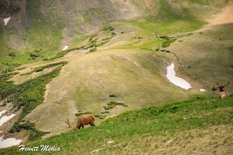 Rocky Mountain National Park Guide