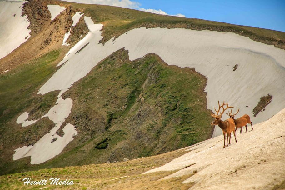 Rocky Mountain National Park Guide