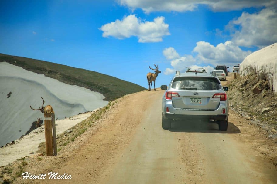 Rocky Mountain National Park Guide