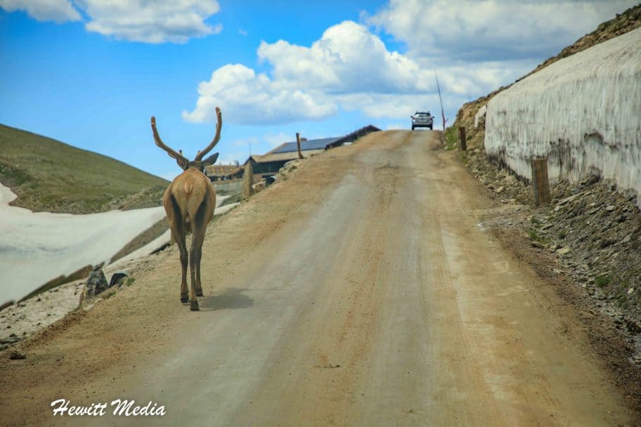 Rocky Mountain National Park Guide