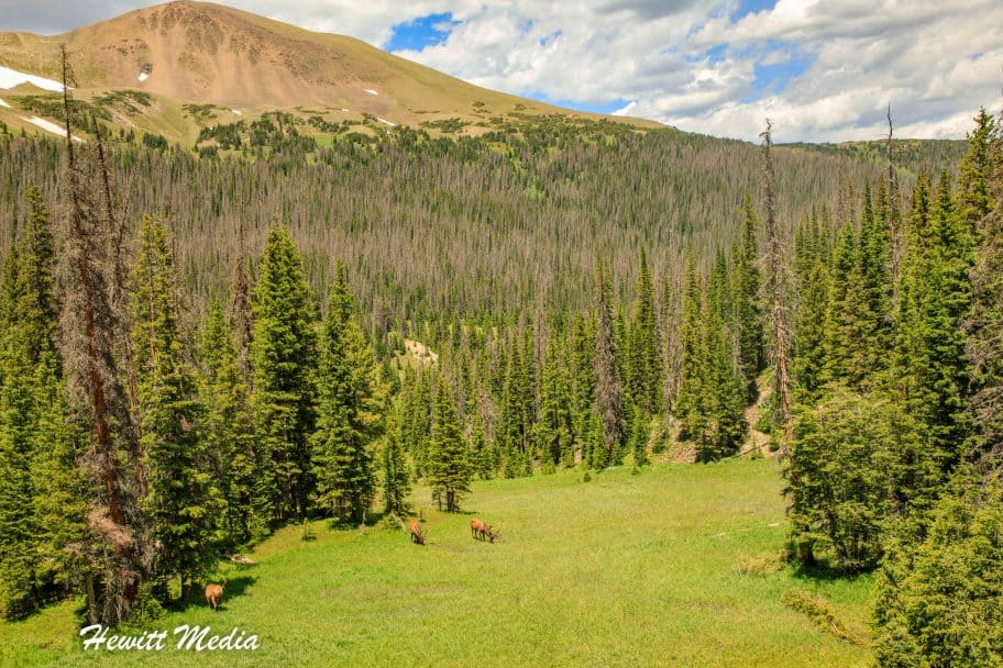 Rocky Mountain National Park Guide