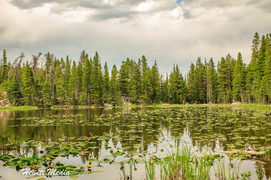 Rocky Mountain National Park Guide