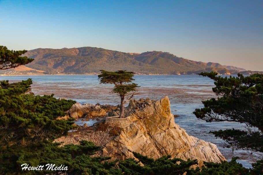 Pinnacles National Park Guide - Other Things to See in the Area