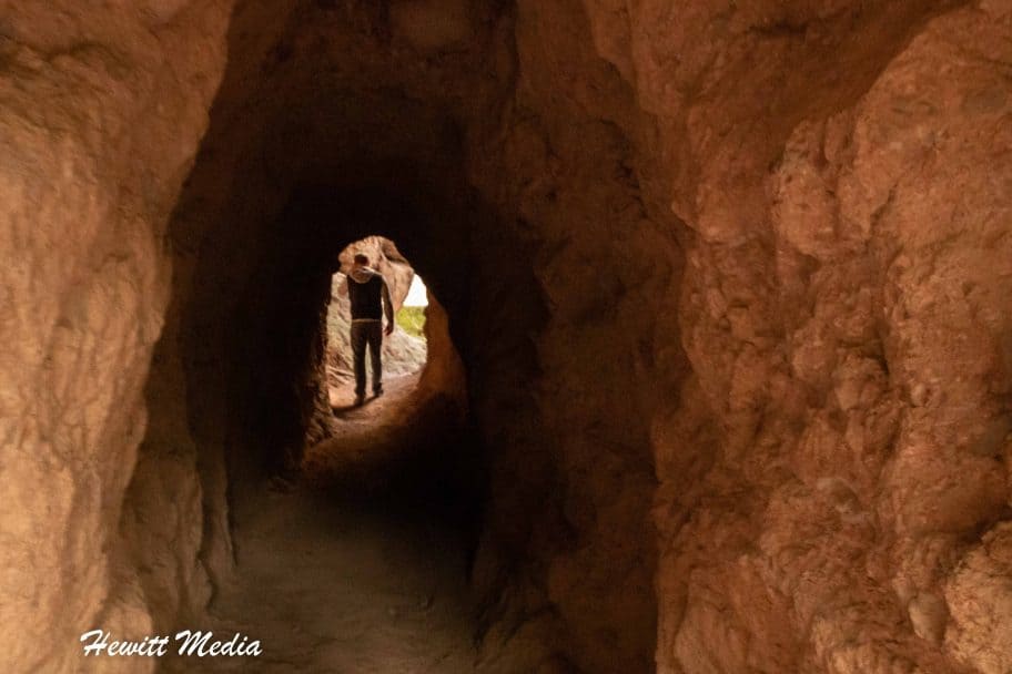 Pinnacles National Park Guide