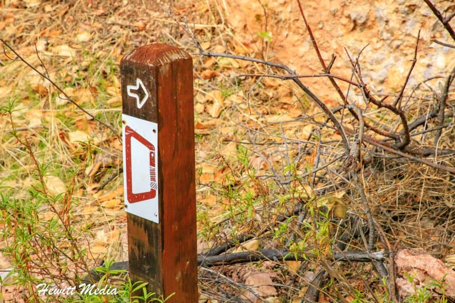 Pinnacles National Park Guide