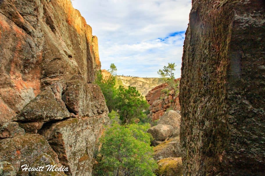 Pinnacles National Park Guide