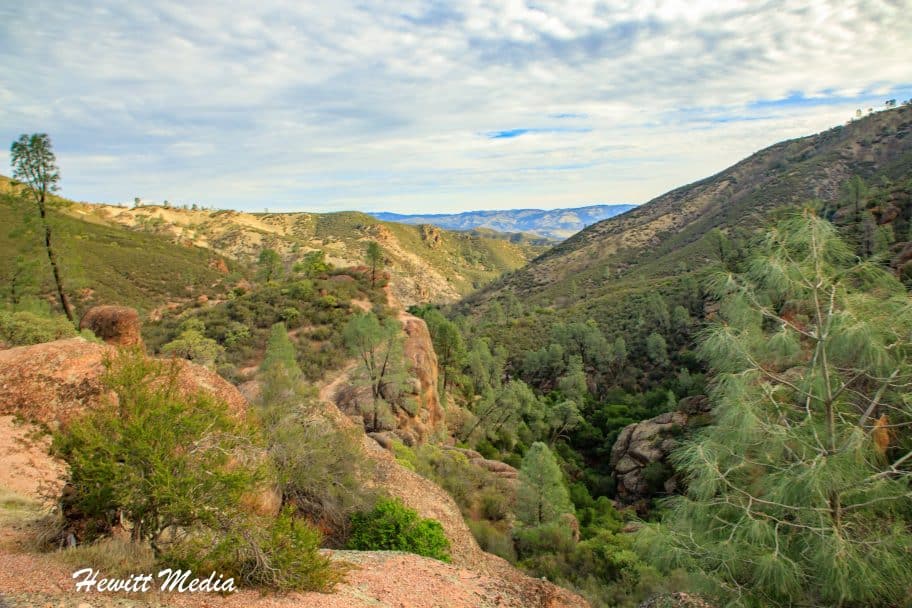 Pinnacles National Park Guide