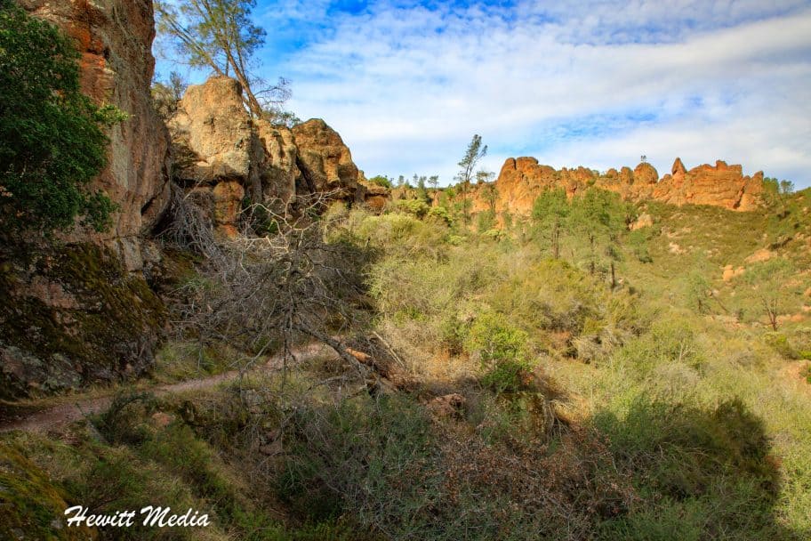 Pinnacles National Park Guide