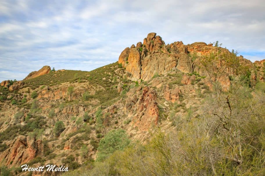 Pinnacles National Park Guide