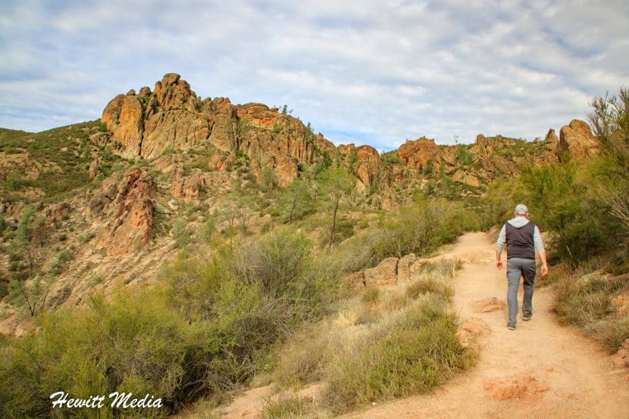 Pinnacles National Park Guide