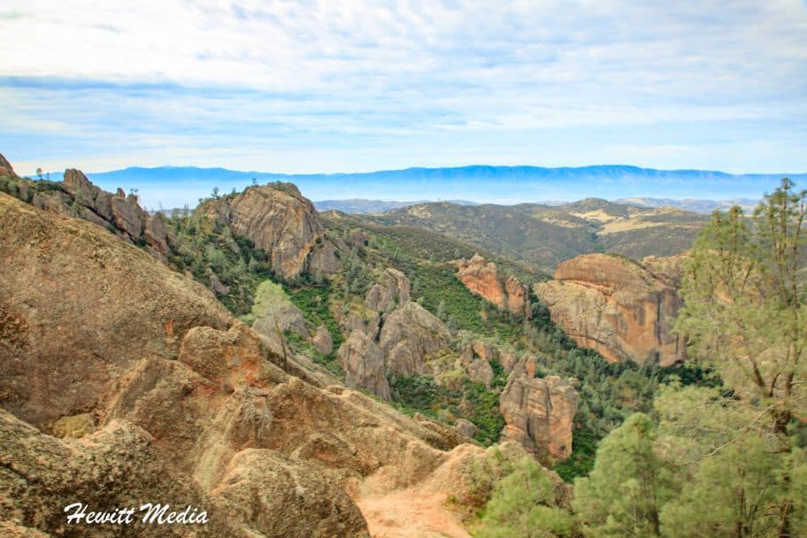 Pinnacles National Park Guide