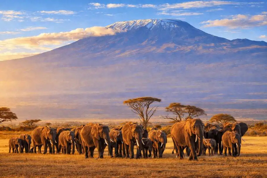 Kilimanjaro National Park Tanzania Safari Itinerary - Kilimanjaro National Park
