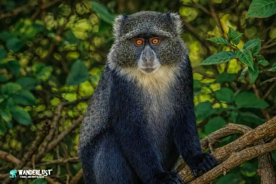 Arusha National Park