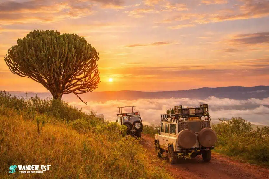 Ngorongoro Crater