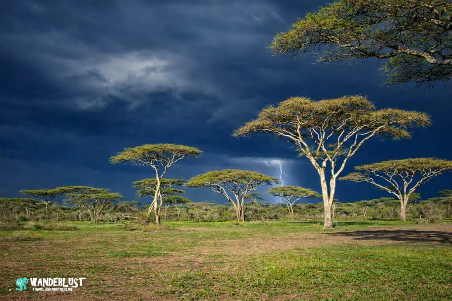 Serengeti National Park Tanzania Safari Itinerary - Serengeti National Park