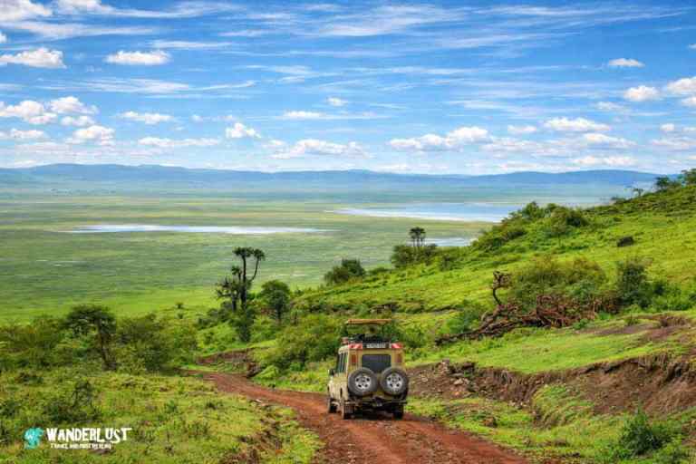 Everything You Need to Know to Visit Ngorongoro Crater Safari Guide