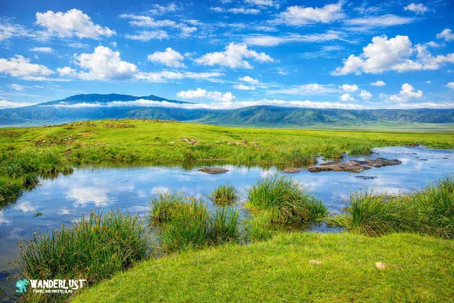 Ngorongoro Crater Safari