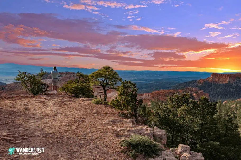 The Top 15 Amazing Southern Utah Attractions You Must See