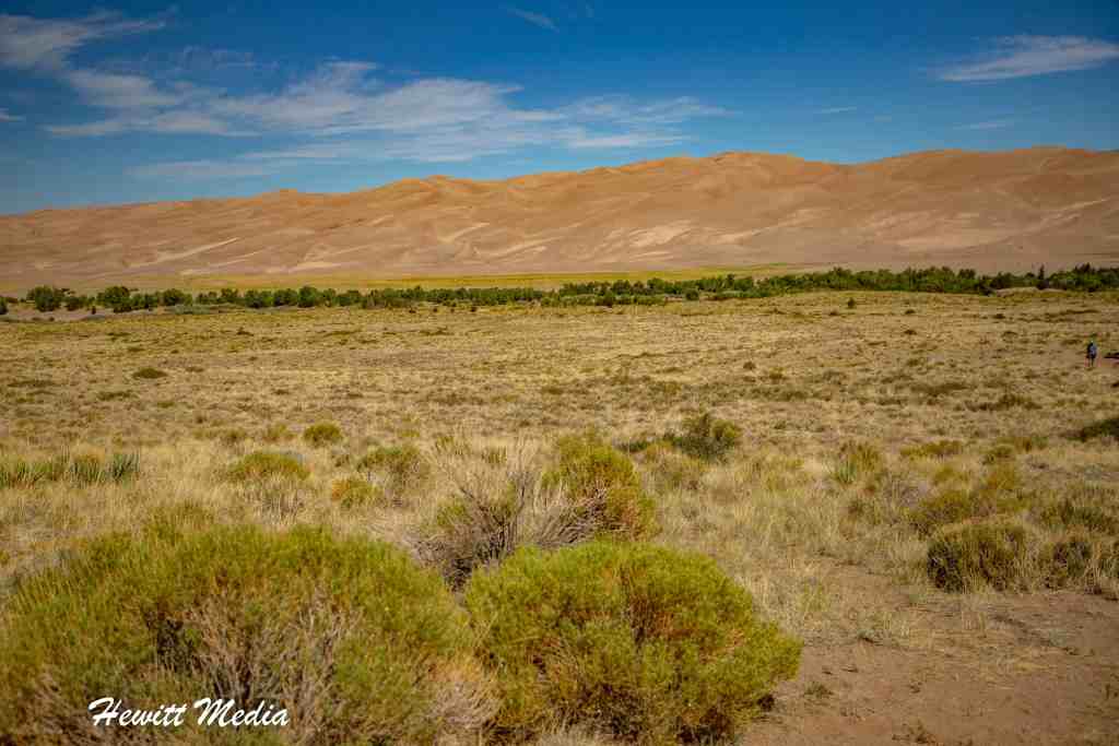 Great Sand Dunes Guide