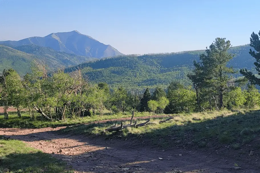 Medano Primitive Road