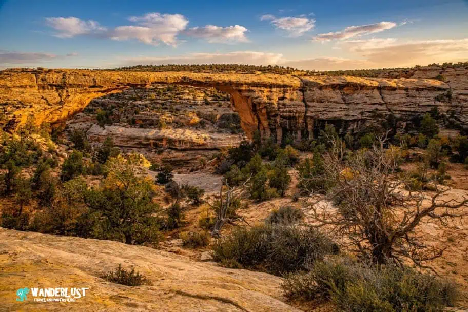 Natural Bridges National Monument