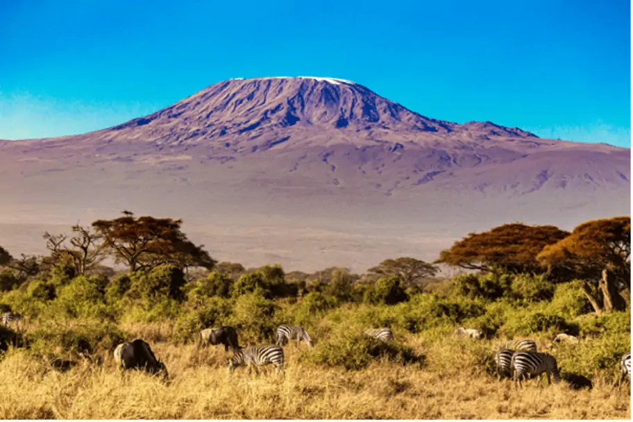 Climbing Mount Kilimanjaro