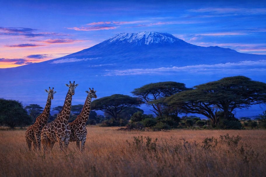 Mount Kilimanjaro Climbing Mount Kilimanjaro