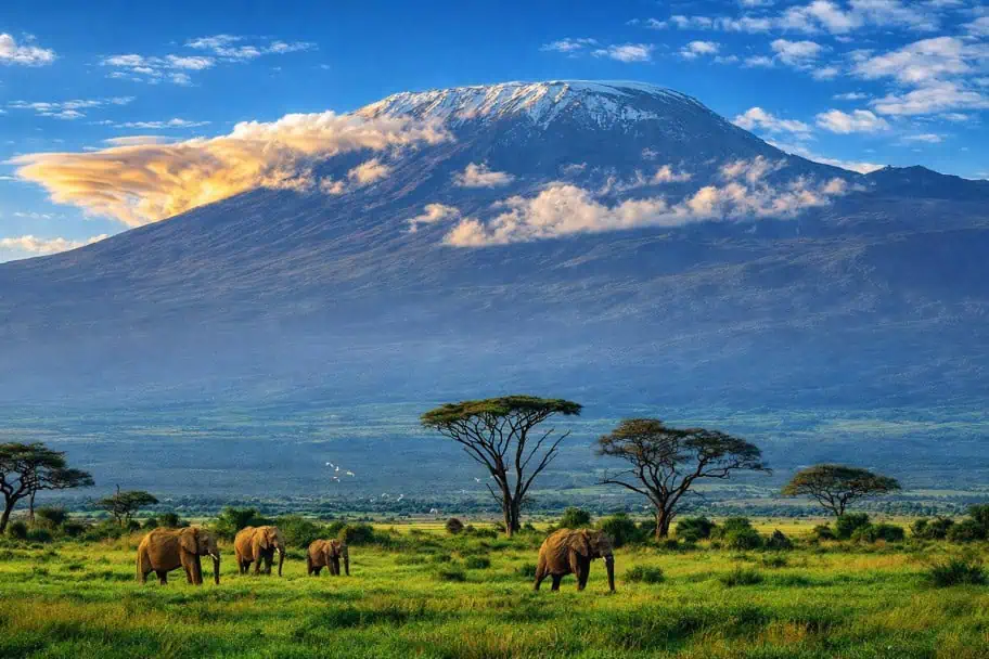 Climbing Mount Kilimanjaro