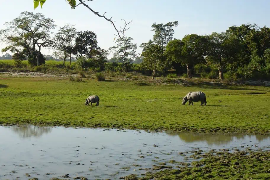 Kaziranga National Park, India Best National Parks in the World to Visit - Kaziranga National Park, India