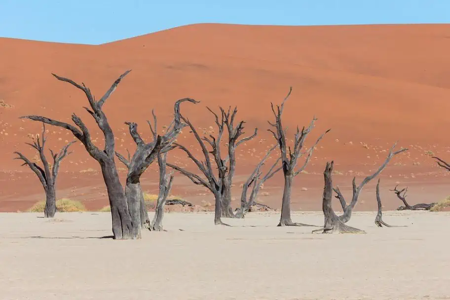 Namib-Naukluft National Park, Namibia Best National Parks in the World to Visit - Namib-Naukluft National Park, Namibia