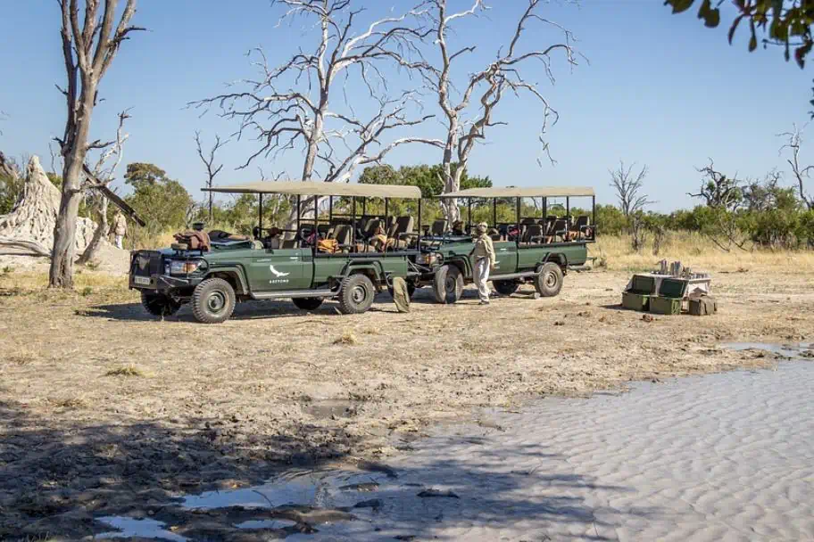 African Safari Africa Travel Planning Safari