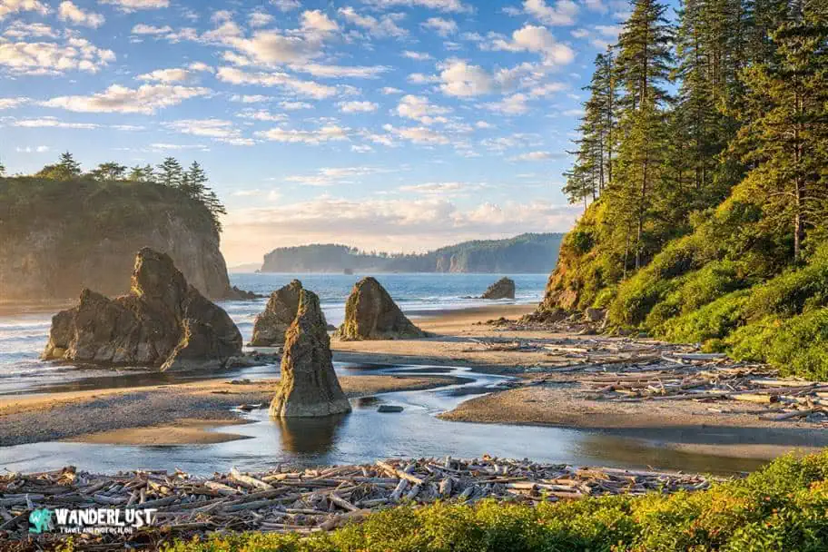 Olympic National Park, United States