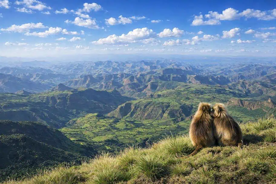 Simien Mountains National Park, Ethiopia