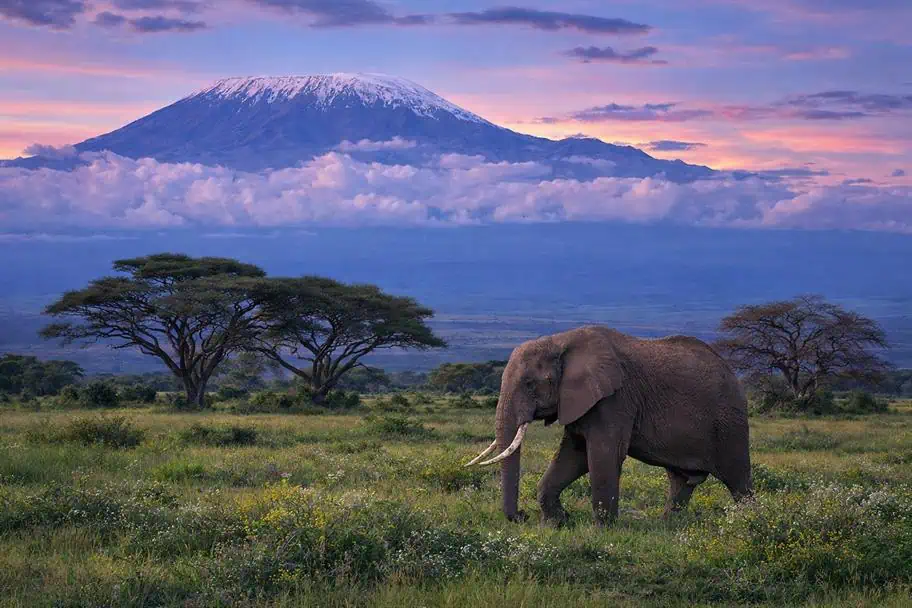 Best National Parks in the World to Visit - Tsavo East National Park, Kenya