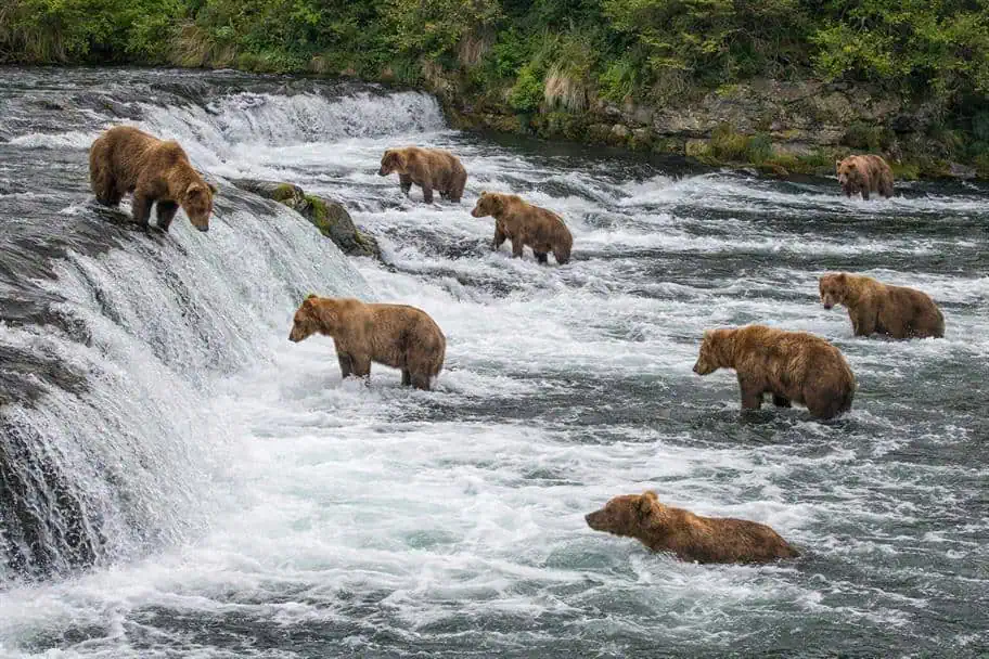 Katmai National Park, United States Katmai National Park, United States