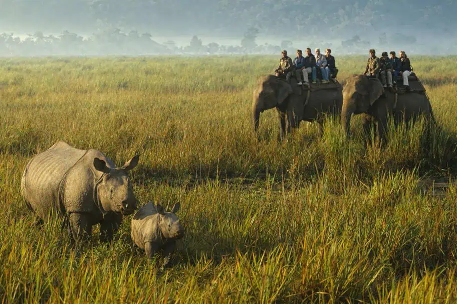 Kaziranga National Park, India Best National Parks in the World to Visit - Kaziranga National Park, India
