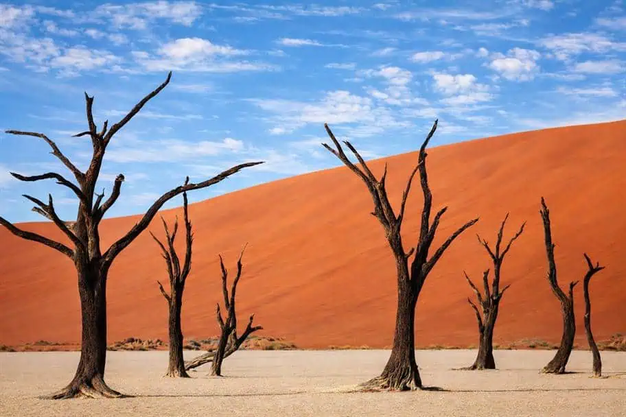 Namib-Naukluft National Park, Namibia Best National Parks in the World to Visit - Namib-Naukluft National Park, Namibia