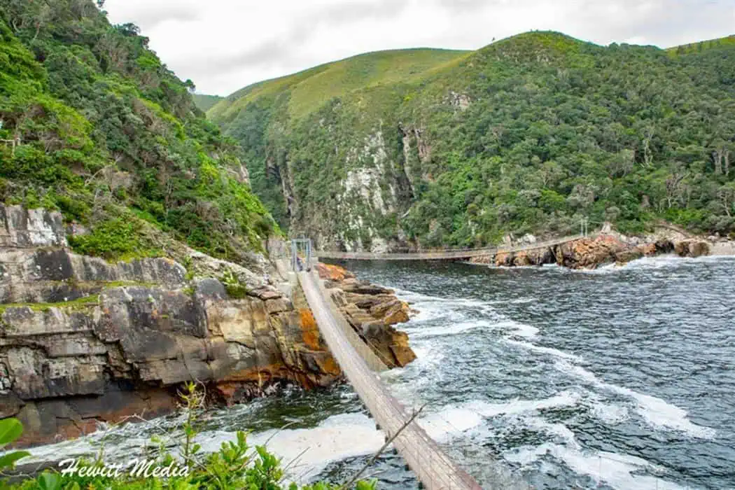 Top Garden Route Photography Spots - Storms River Suspension Bridge