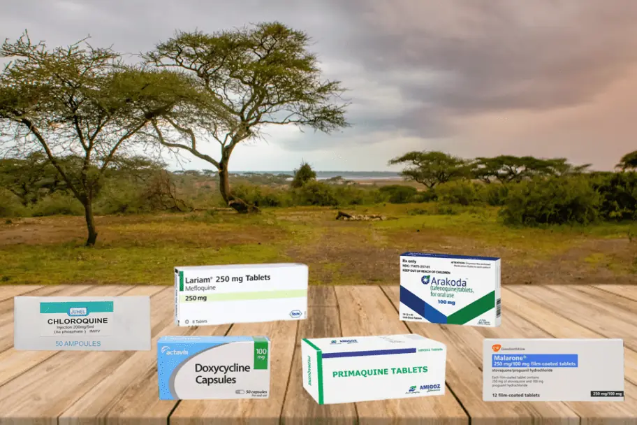 Avoid Mosquito-borne Illnesses by Taking an Antimalarial