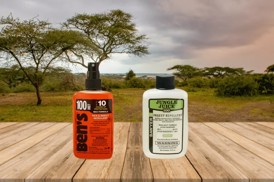 Avoid Mosquito-borne Illnesses by Using the Appropriate Insect Repellent