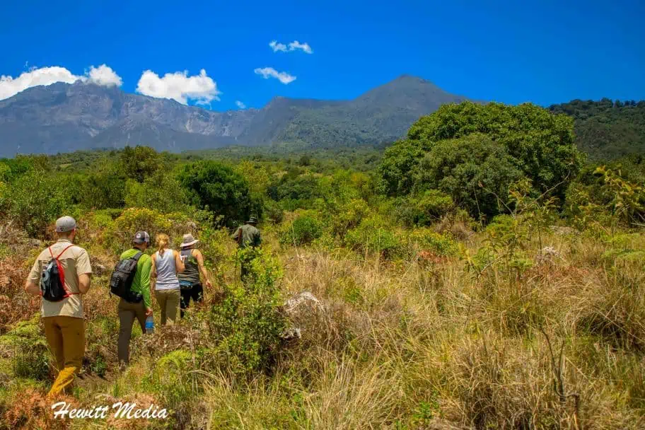 Avoid Mosquito-borne Illnesses when Traveling