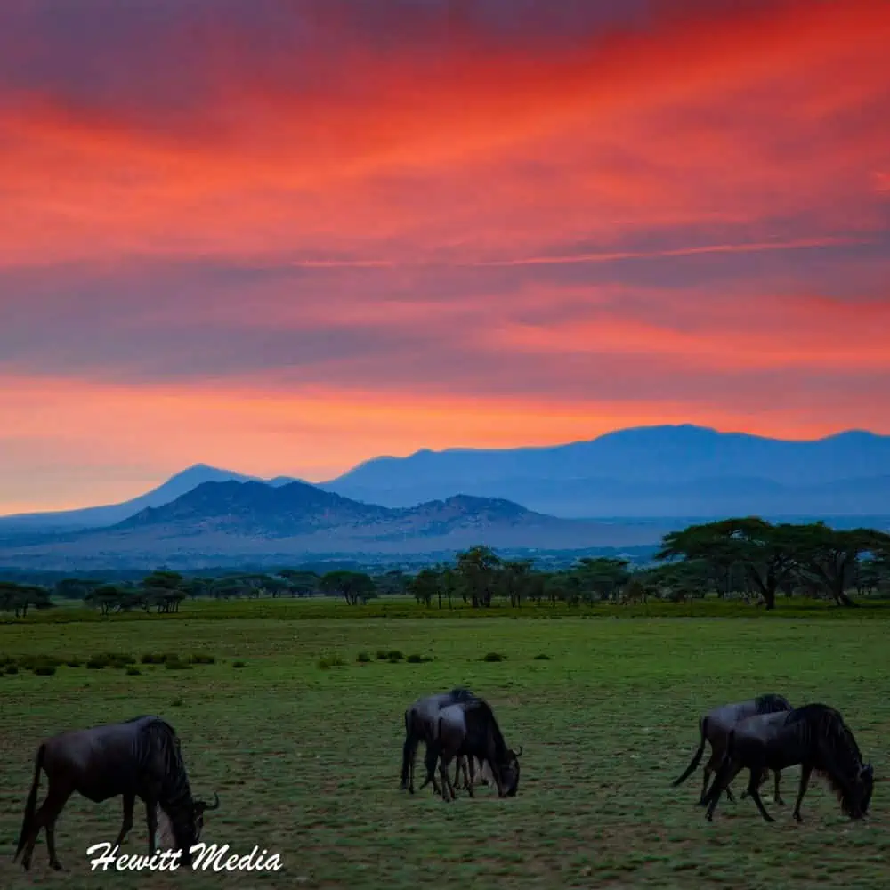 Instagram Travel Photography: Stunning Serengeti Sunset