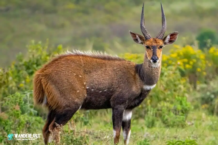Arusha National Park