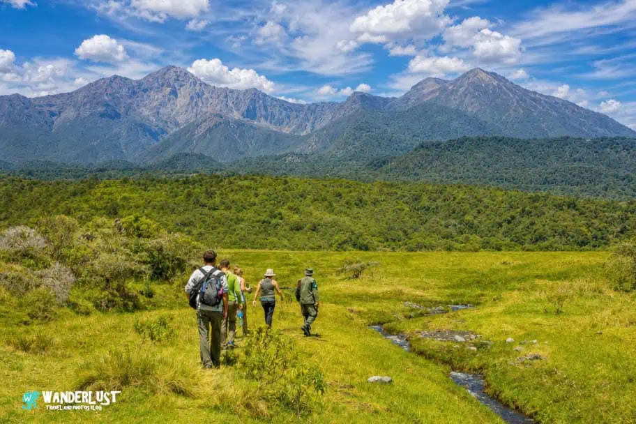 Arusha National Park Safari Guide