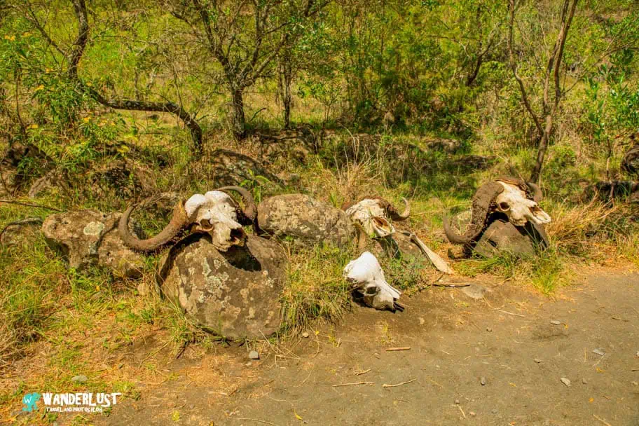 Arusha National Park
