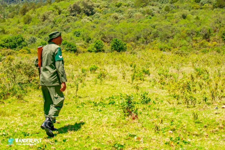 Arusha Walking Safari