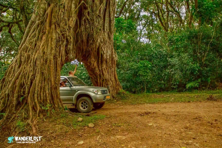 Arusha National Park Guide